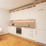 Haus Am Sonnenhang By Schladming-appartements Apartment Schladming