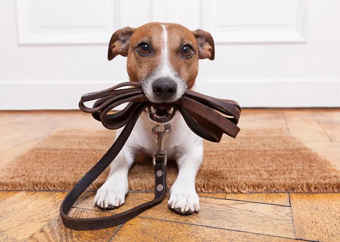 Haus Am Sonnenhang By Schladming-appartements 아파트 슈라드밍